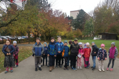 IMG_20251022_135657_edit_113152014089504