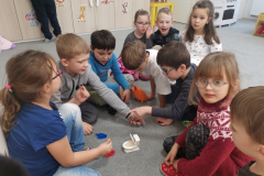 IMG_20251119_124615_1