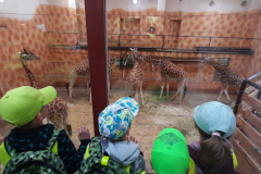 Výlet MŠ do ZOO Olomouc