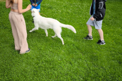 IMG_20250604_095510